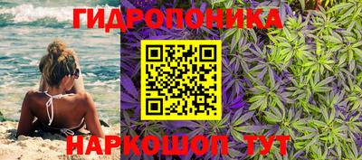 прущие грибы Пушкино
