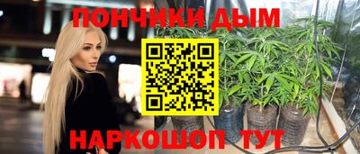 молекула духа Пугачёв
