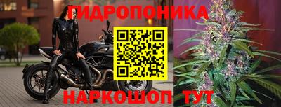 молекула духа Пугачёв