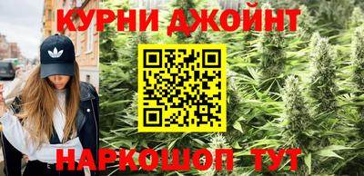 молекула духа Пугачёв